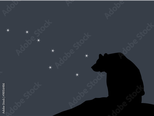 a bear