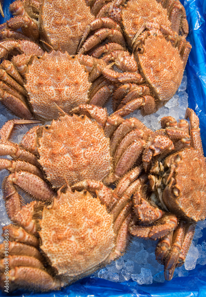 closed up horsehair crab in fish market, Japan closed up horsehair crab in fish market, Japan