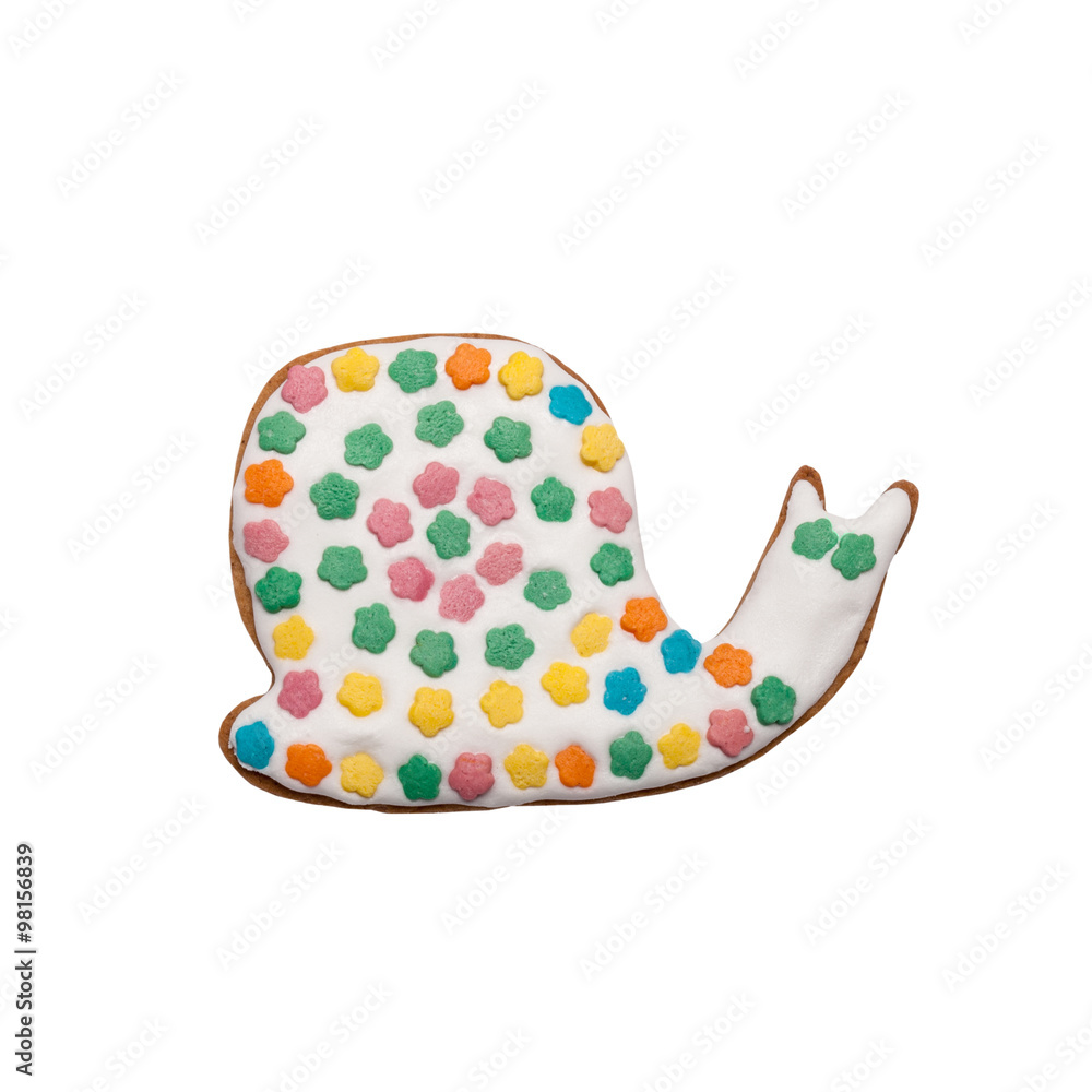 Homemade gingerbread cookie with colored frosting isolated on a Homemade gingerbread cookie with colored frosting isolated on a