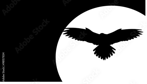  a flying bird with moon background 