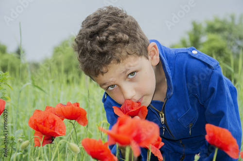 In the summer on the curly boy sniffing poppies.