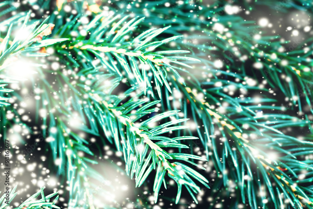 Xmas Tree Branches and snowflakes.