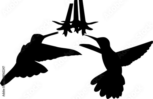 two birds flowers