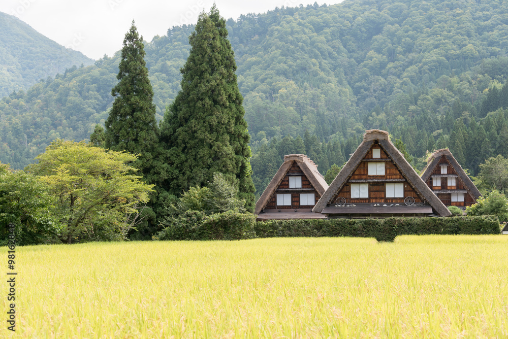 白川郷の合掌造り 白川郷の合掌造り