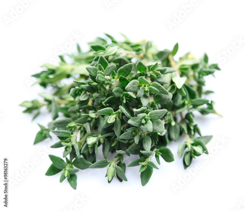 Thyme herbs close
