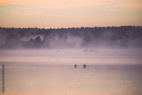 Foggy morning on the country lake - vintage effect