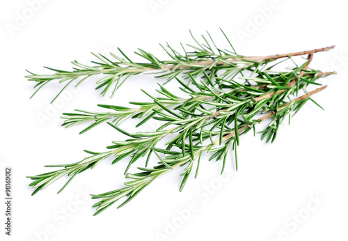 Twigs of rosemary on a white background