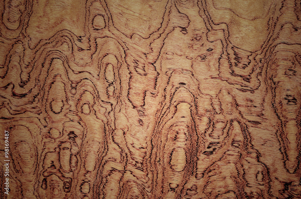 Fototapeta premium veneer wood texture for background
