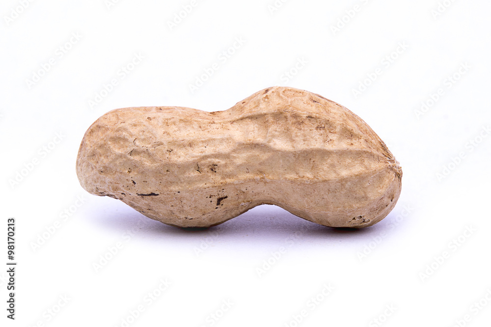 Groundnut on white background Groundnut on white background