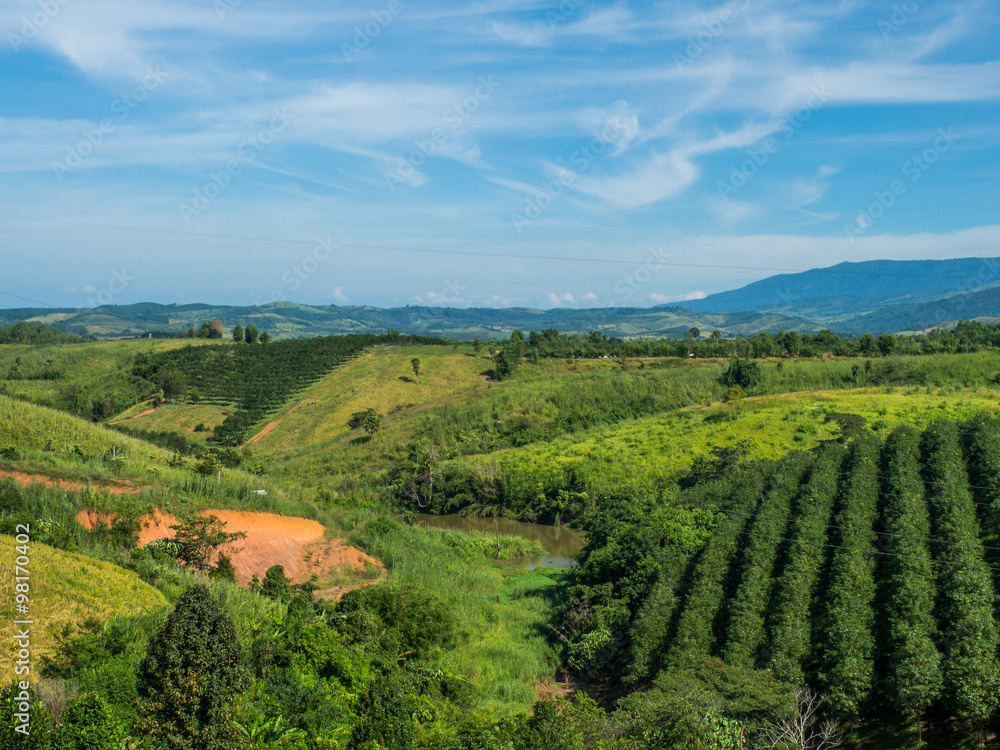 Obraz premium Mountain in Sunny Day