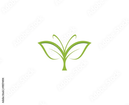 Photography butterfly leaf logo