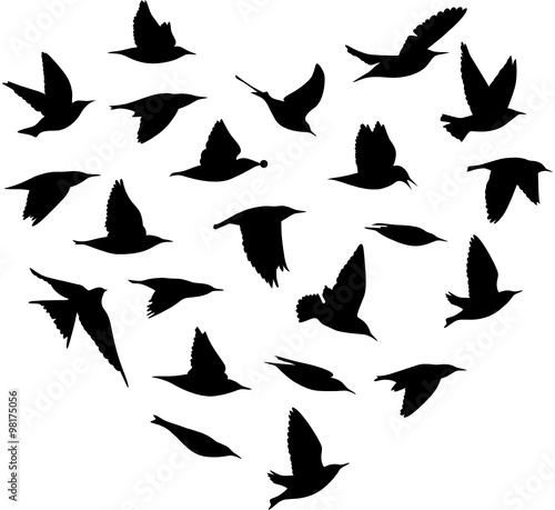 Herzform Vogelschwarm