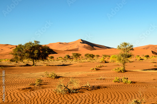 A picture of the Sand dunes of Namibia #98175085