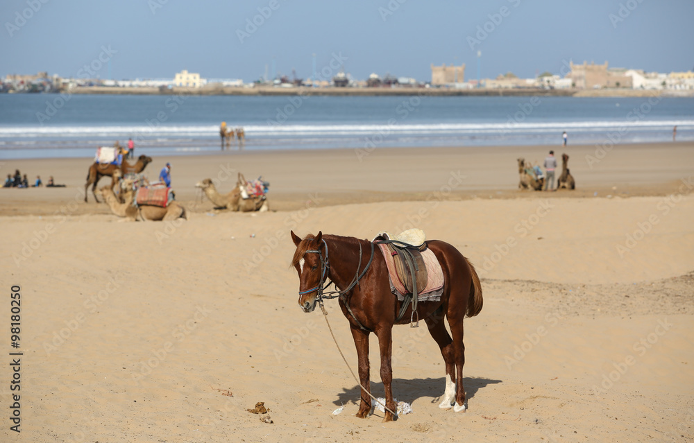 Le Maroc Le Maroc