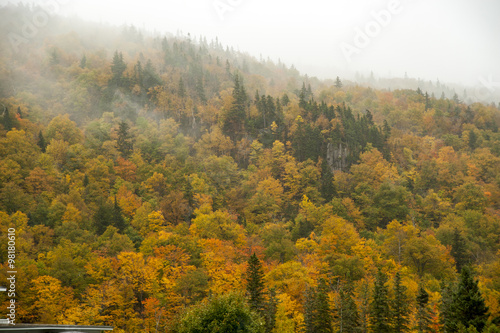 Hillside in mist