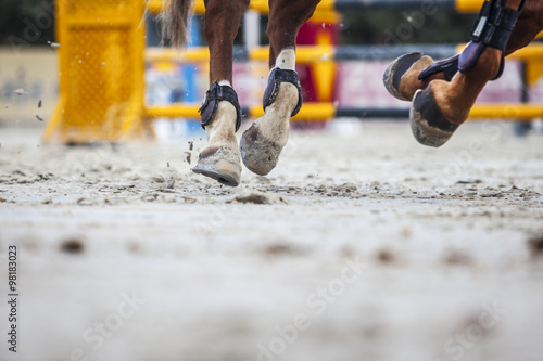 Fototapeta view of horse hooves at jumping competition training