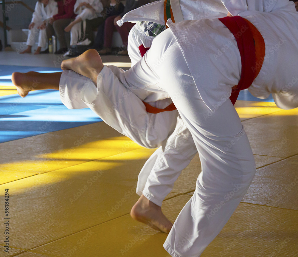 Naklejka premium Fighting