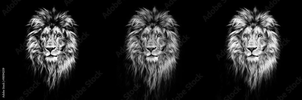 Fototapeta premium Portret pięknego lwa, lwa w ciemności, farby olejne