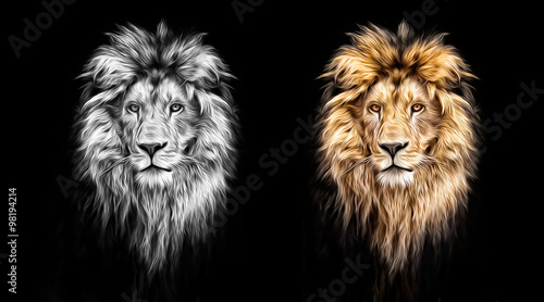 Portrait of a Beautiful lion, lion in the dark, oil paints