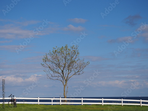 Foto Ostseeküste bei Waabs in Schleswig holstein