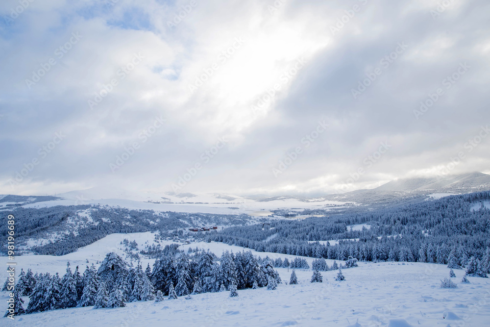 Winter Winter