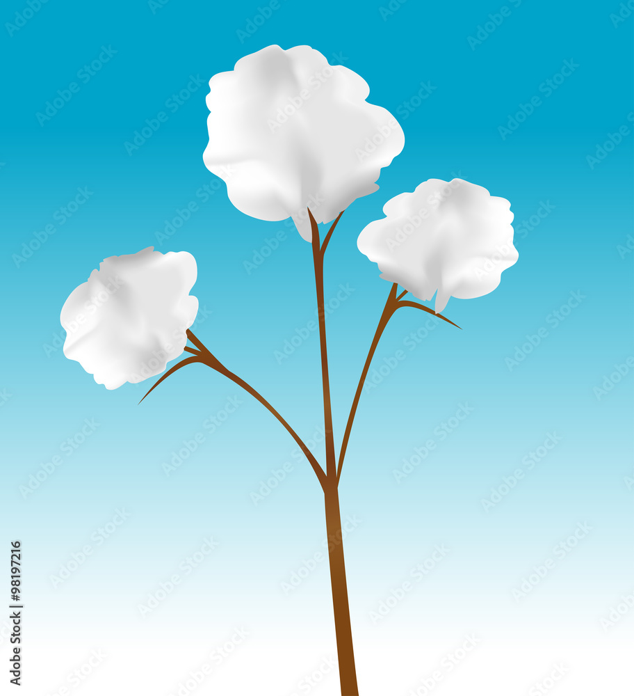 cartoon vector illustration of a cotton plant Stock Vector | Adobe Stock