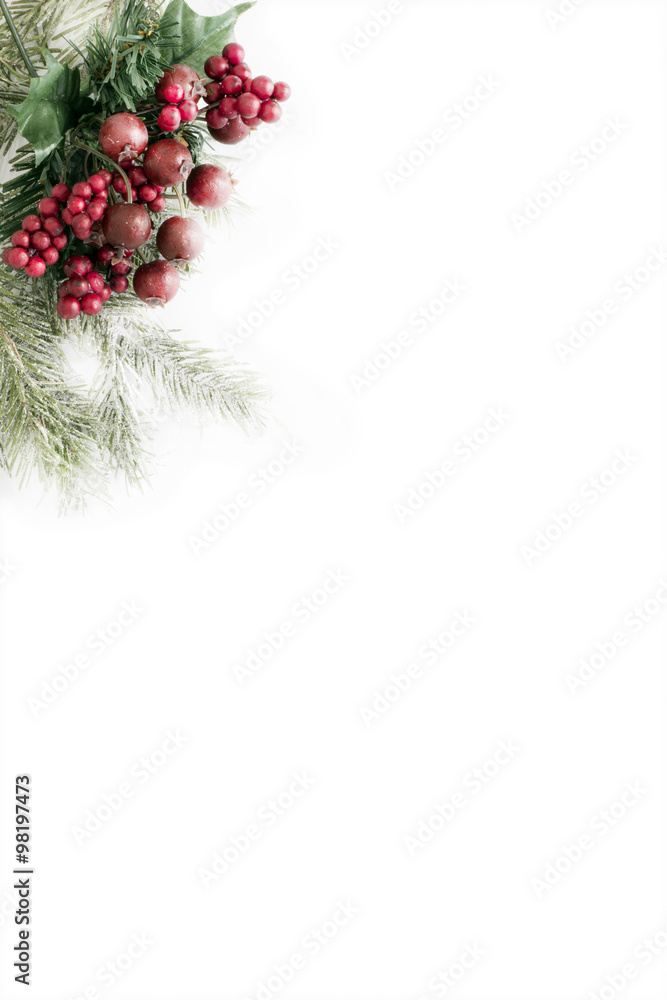 Christmas background. Christmas corner border decorative of holly Christmas background. Christmas corner border decorative of holly