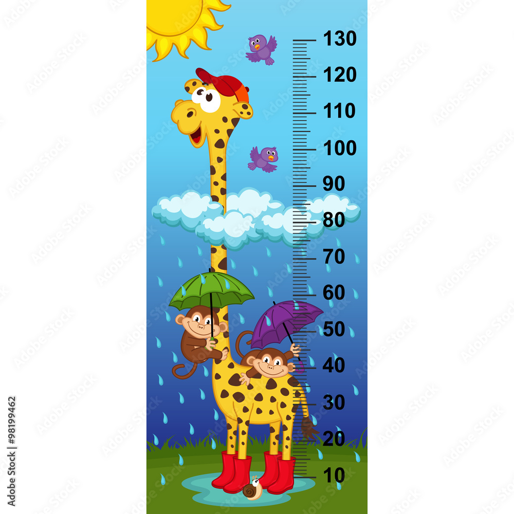Obraz premium giraffe height measure(in original proportions 1:4) - vector illustration, eps 