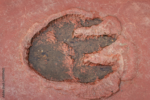 Dinosaur Footprints