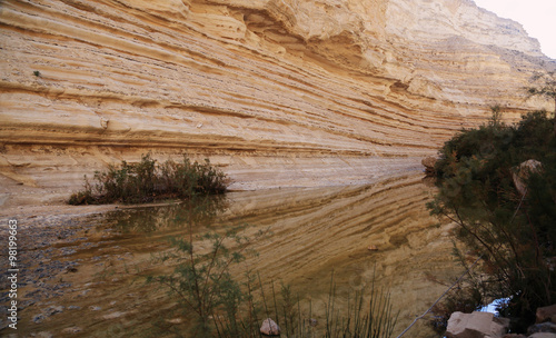 Desert Landscape