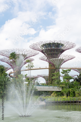 supertree grove in garden by the bay - singapore © topntp