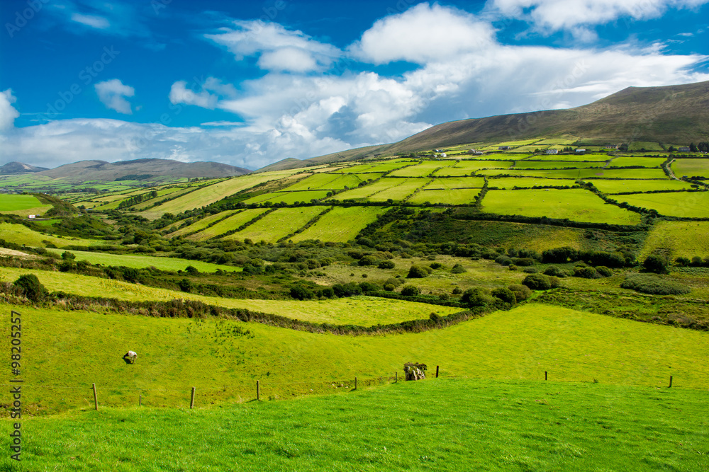 Landschaft mit Weiden in Irland