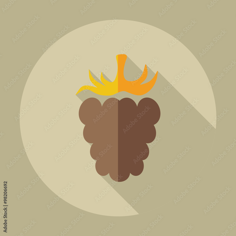 Flat modern design with shadow icons raspberries Flat modern design with shadow icons raspberries