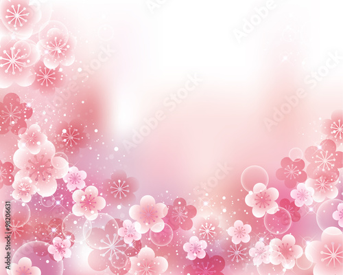Japanese apricot flower