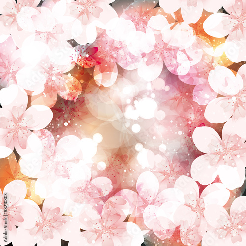 cherry blossom background