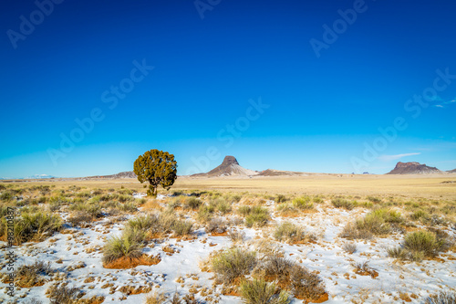 Snow covered northern Arizona winter landscapes.