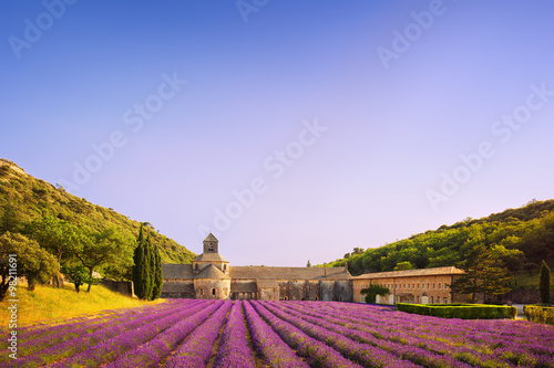 Abbey of Senanque blooming lavender flowers on sunset. Gordes, L photo