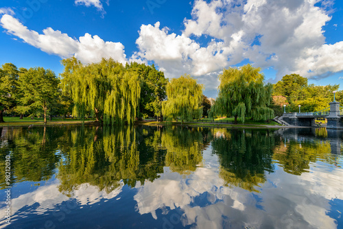 Fototapeta Naklejka Na Ścianę i Meble -  Weeping willow trees and a pond in the Boston Public Garden.