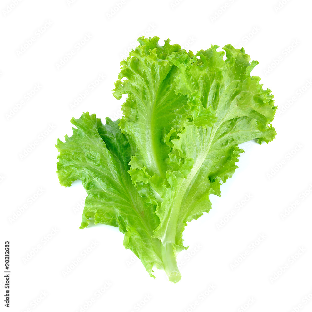 Salad leaf. Lettuce isolated on white background - obrazy, fototapety, plakaty 