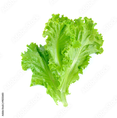Obraz na płótnie Salad leaf. Lettuce isolated on white background
