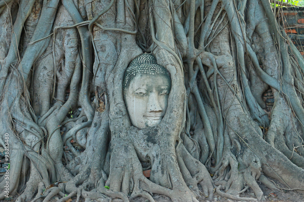Buddha Head in Tree Roots, Wat Mahathat, Ayutthaya Buddha Head in Tree Roots, Wat Mahathat, Ayutthaya