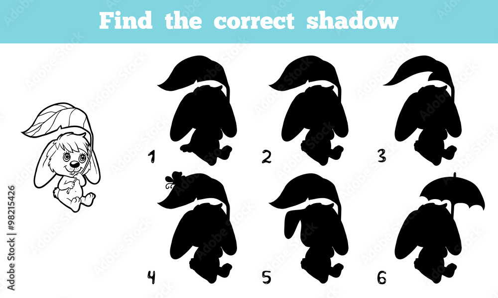 Fototapeta premium Find the correct shadow (rabbit)