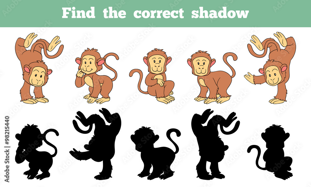 Naklejka premium Find the correct shadow (monkey)