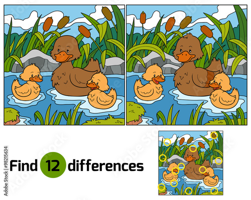 Find differences (duck)