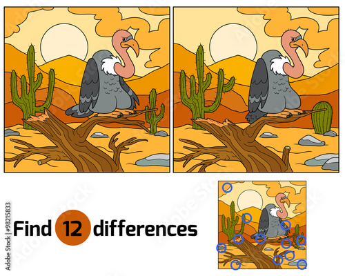 Find differences (vulture) photo