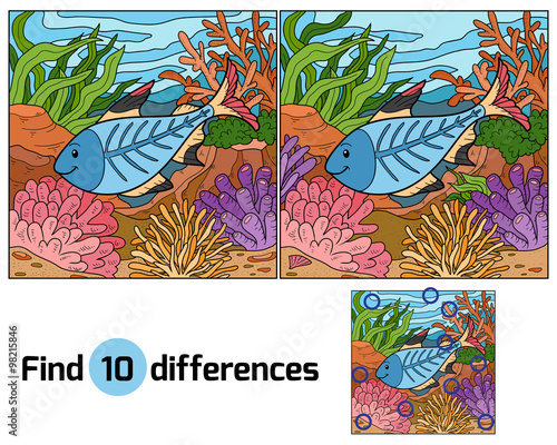 Find differences (x-ray fish)