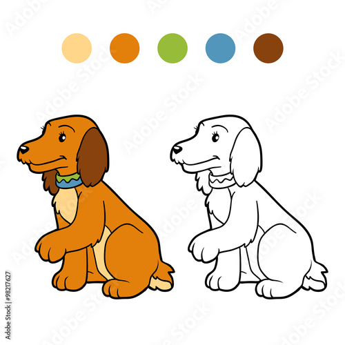 Coloring book for children (spaniel dog)