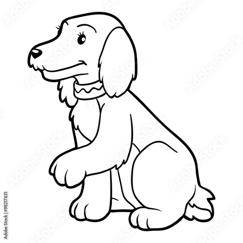 Coloring book for children (spaniel dog)