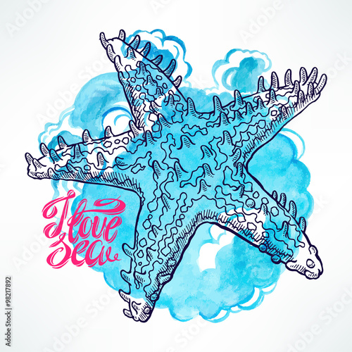 hand-drawn starfish