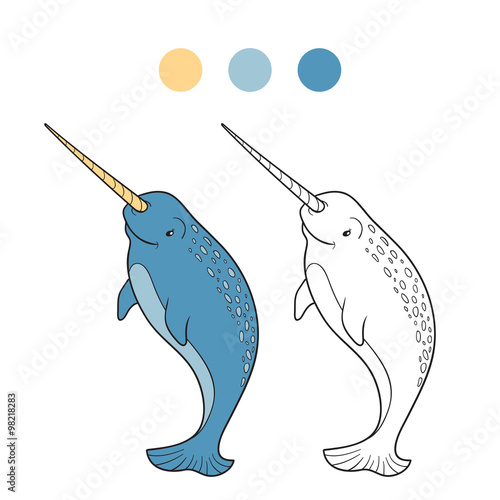 Coloring book (narwhal)